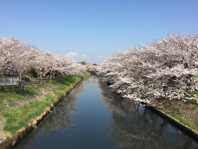 小学生向けプログラミング教室　船橋